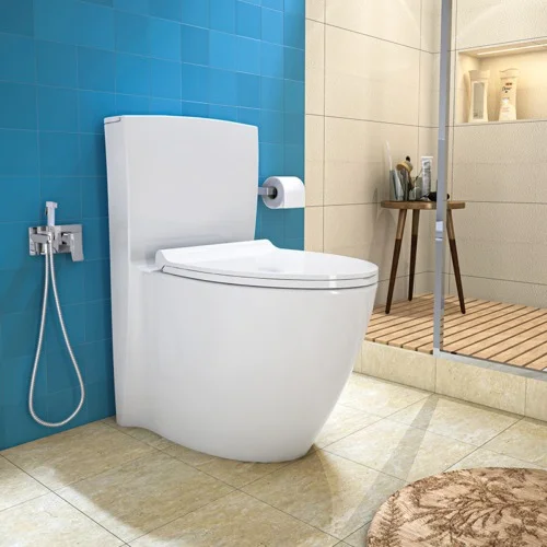 Magnolia-Monoblock-Toilet-Design
